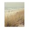Stupell Industries Beach Dreams Sea Grass Canvas, design by Marcus Prime